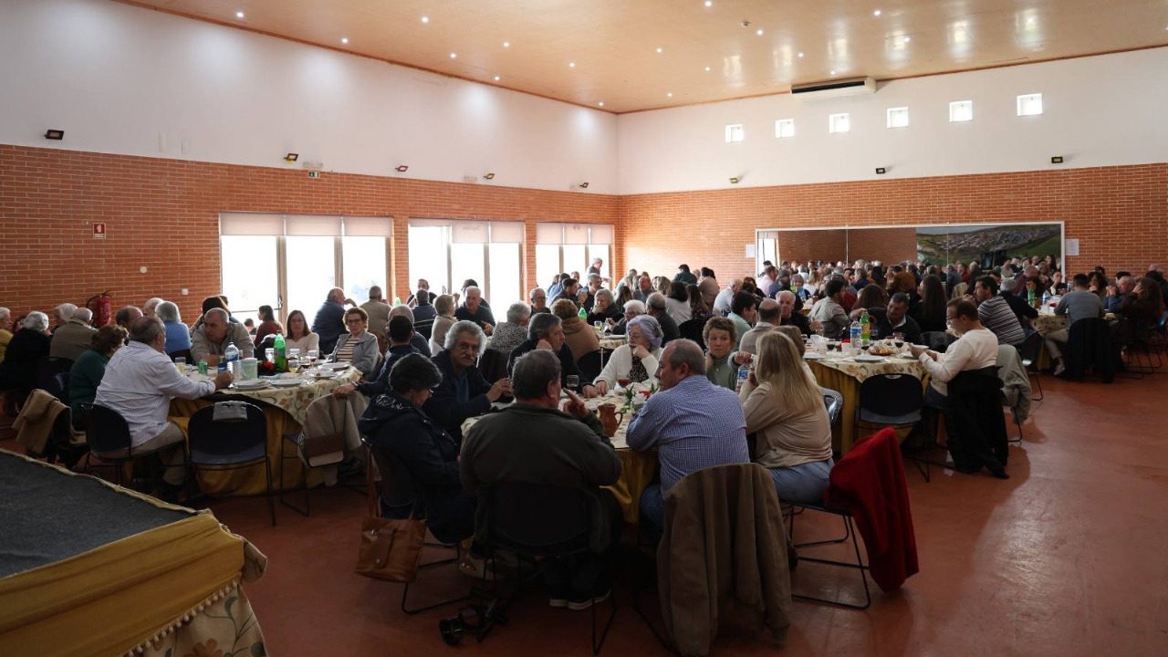 XVI Matança Tradicional do Porco em Degolados